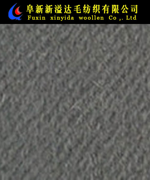 FX08011-6017